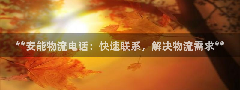 28圈pg如何退钱：**安能物流电话