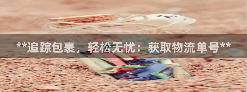 28圈注册网站链接：**追踪包裹，轻