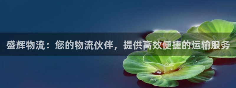 28圈登录流程：盛辉物流：您的物流伙