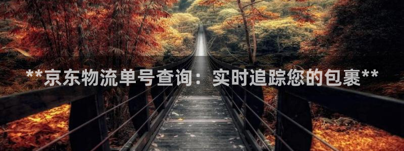 28圈官方网站是多少：**京东物流单