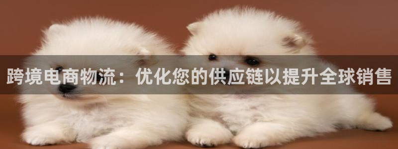 28圈官方官网版：跨境电商物流：优化