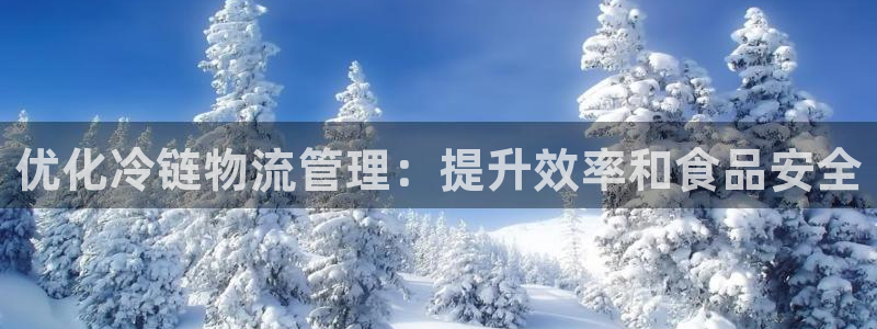28圈反水怎么算：优化冷链物流管理：