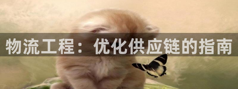 28圈游戏官网平台