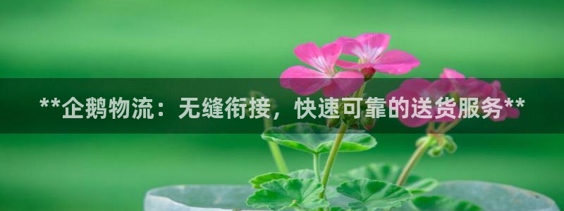 28圈软件是什么：**企鹅物流：无缝