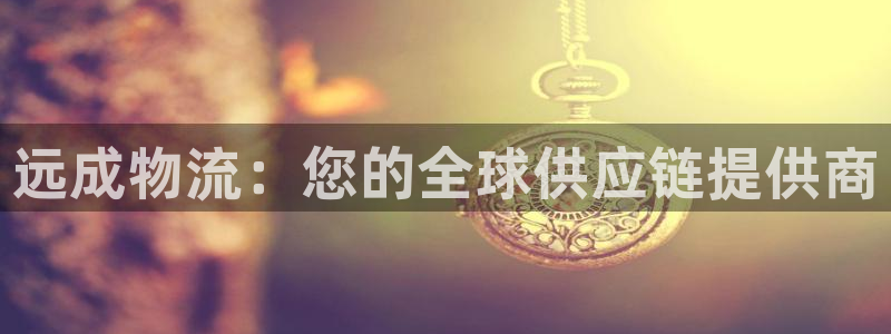 28圈技巧：远成物流：您的全球供应链