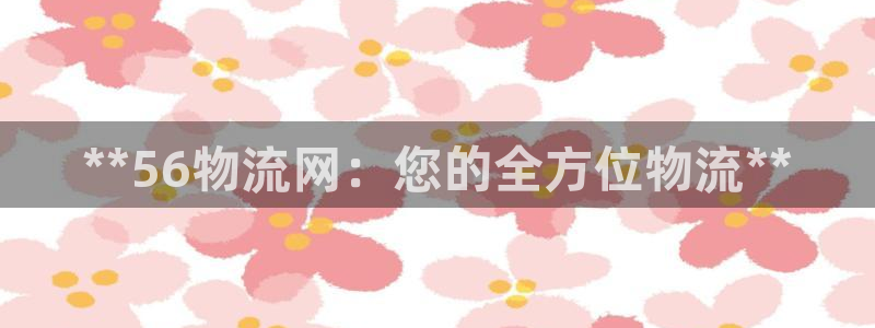 28圈加拿大能提现吗：**56物流网