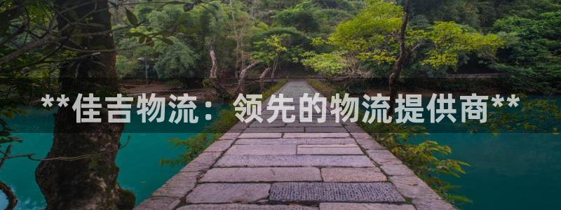 28圈注册网站链接：**佳吉物流：领