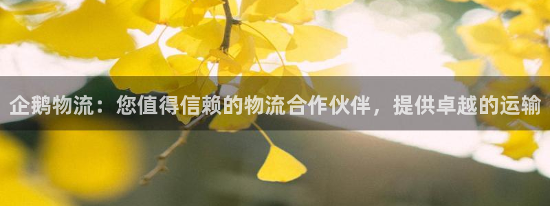 28圈预测：企鹅物流：您值得信赖的物