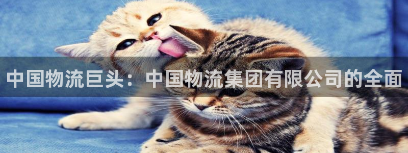 28圈注册网址：中国物流巨头：中国物