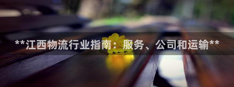 28圈PG电子游戏：**江西物流行业