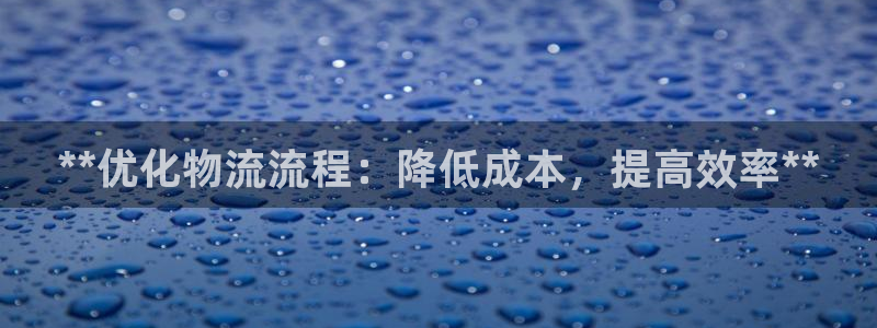 28圈登录网：**优化物流流程：降低