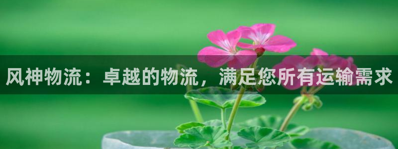 28圈可以退款吗：风神物流：卓越的物