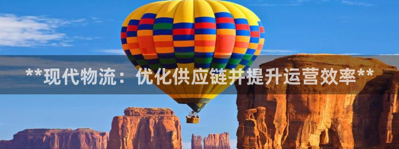 28圈图片：**现代物流：优化供应链