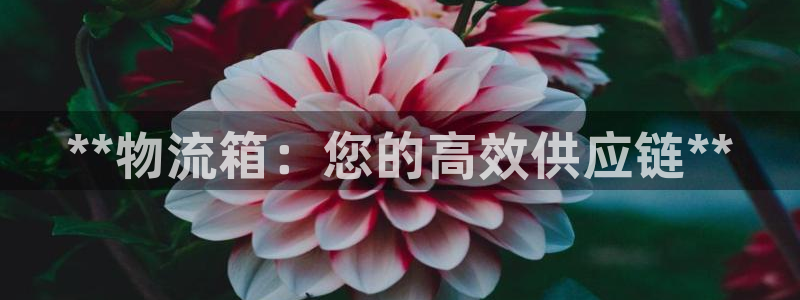 28圈网站平台