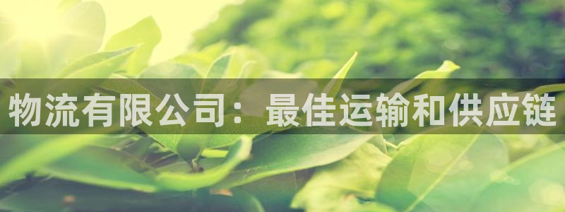 28圈稳吗：物流有限公司：最佳运输和