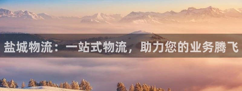 28圈充值金额随便：盐城物流：一站式