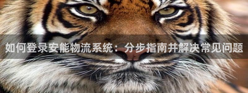 28圈推广链接是多少：如何登录安能物