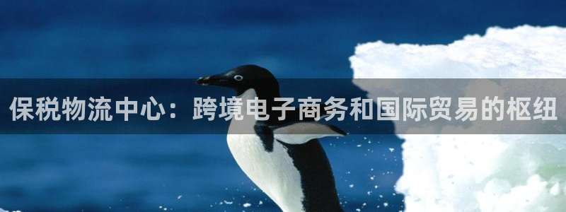28圈比特28真实吗：保税物流中心：