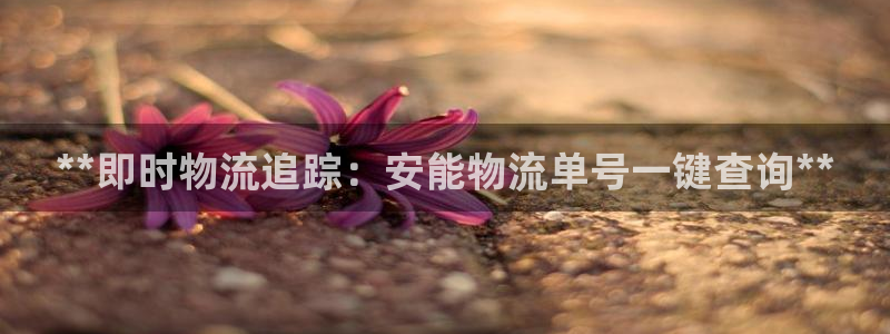 28圈官网多少