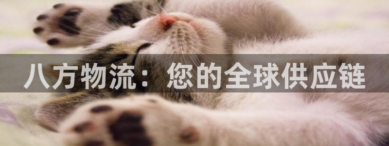 28圈充值不到账怎么办：八方物流：您