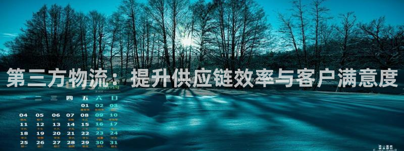 28圈.ccm正版：第三方物流：提升