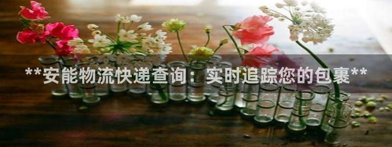 28圈.ccm正版：**安能物流快递