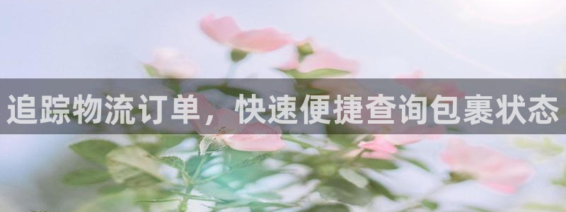 28圈充值金额随便：追踪物流订单，快