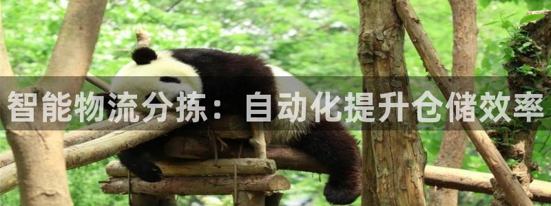 28圈注册登录流程：智能物流分拣：自