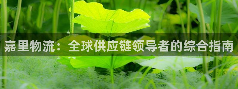 28圈能赢钱吗