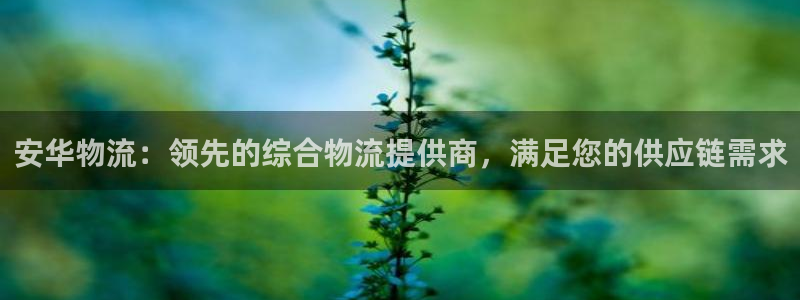 28圈登录流程：安华物流：领先的综合