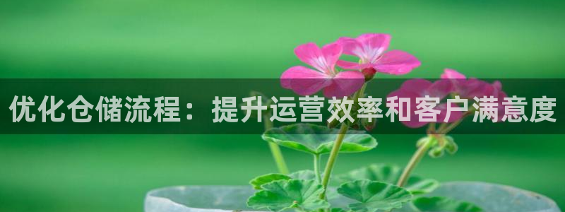 28圈开奖预测