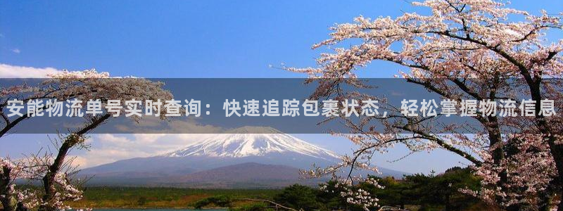 28圈能退款吗
