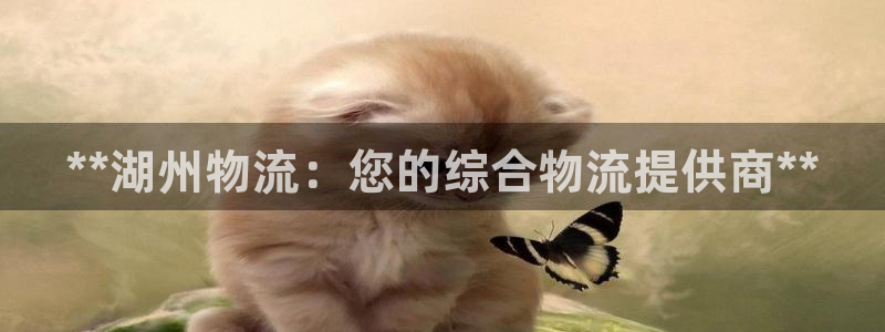 28圈正规吗?