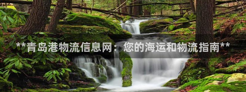 28圈如何看计划