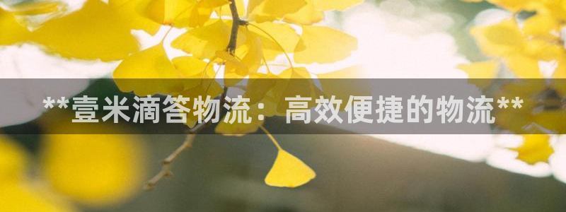 28圈推广链接是多少粉丝
