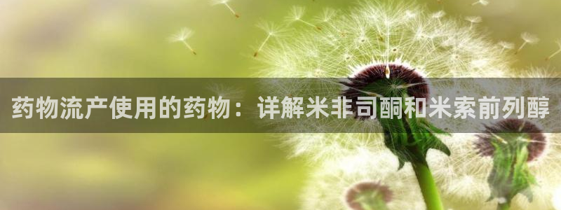 28圈游戏官网版