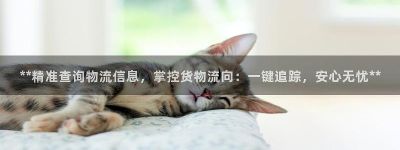 28圈是正规平台吗