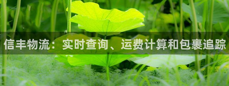28圈官方网站是多少：信丰物流：实时