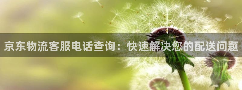 28圈官方官网版：京东物流客服电话查