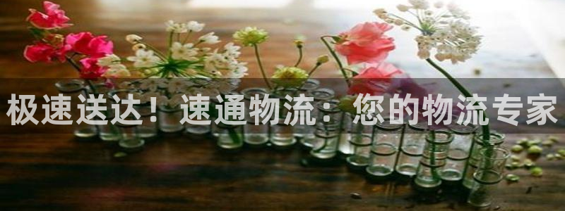 28圈.ccm南宫：极速送达！速通物