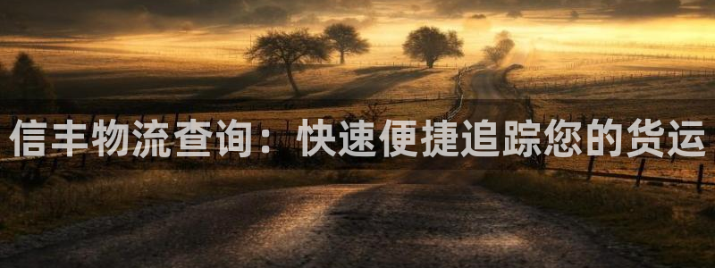 28圈加拿大app预测