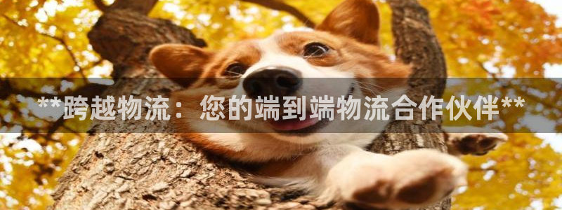28圈账号注册：**跨越物流：您的端