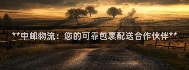 28圈玩法：**中邮物流：您的可靠包