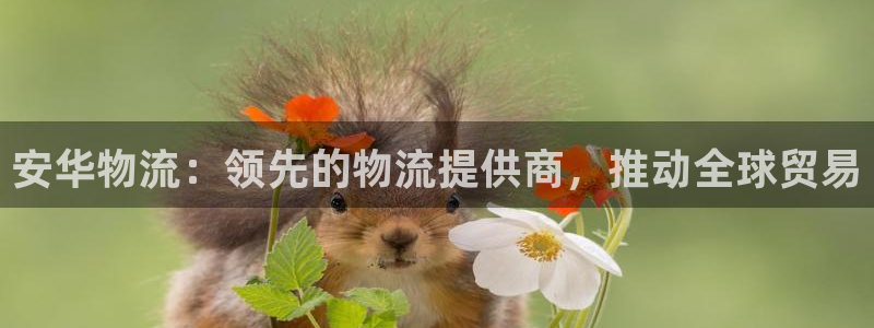 南宫28圈官网