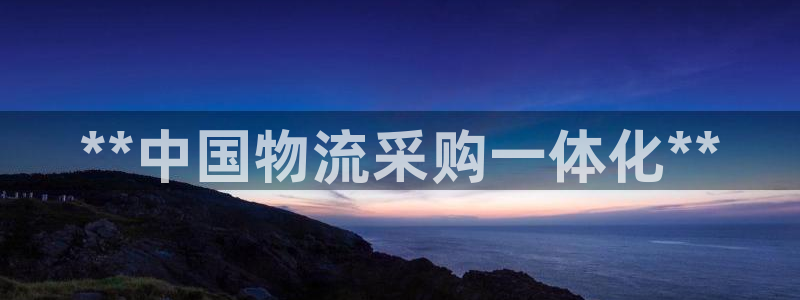 28圈免费：**中国物流采购一体化*