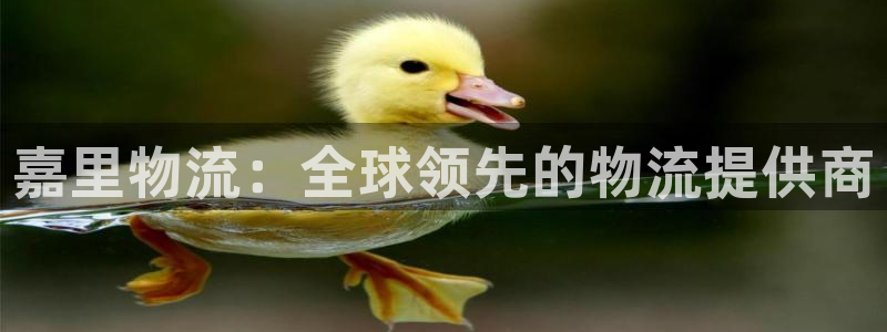 28圈初始资金密码在哪里改