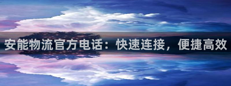 28圈大神预测