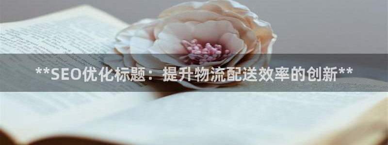 28圈加拿大是什么