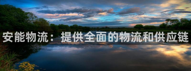 28圈网站怎么注册：安能物流：提供全