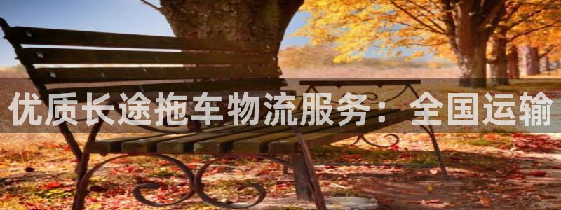 28圈黑款：优质长途拖车物流服务：全